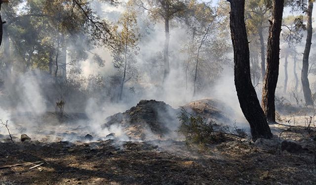 Santral Mahallesi'nde yangın kontrol altında