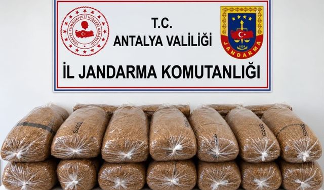 Jandarmadan kaçak tütün operasyonu