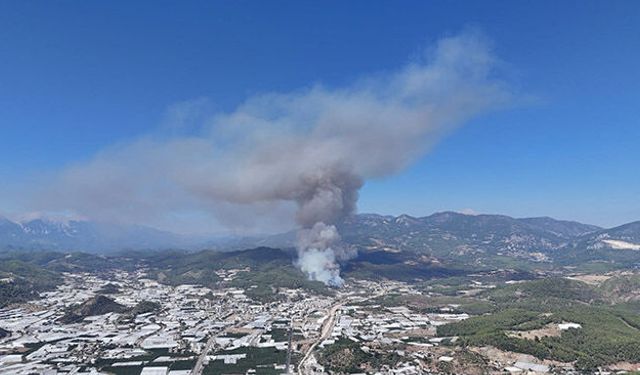 Kumluca'da yangın şüphelisi tutuklandı