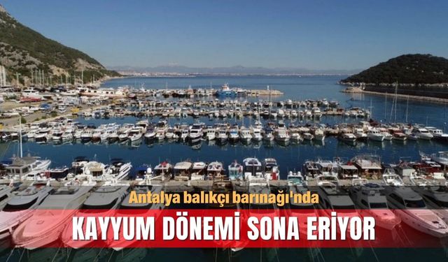 Antalya balıkçı barınağı'nda kayyum dönemi sona eriyor