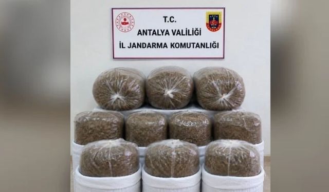 3 ilçede kaçak tütün operasyonu