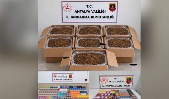 Alanya ve Döşemealtı'nda kaçak tütün operasyonu