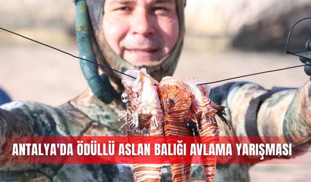 Antalya'da ödüllü aslan balığı avlama yarışması