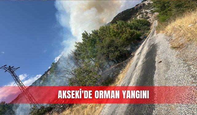Akseki'de orman yangını