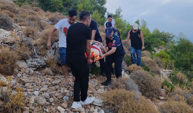 Hollandalı kadın doğa yürüyüşünde yaralandı