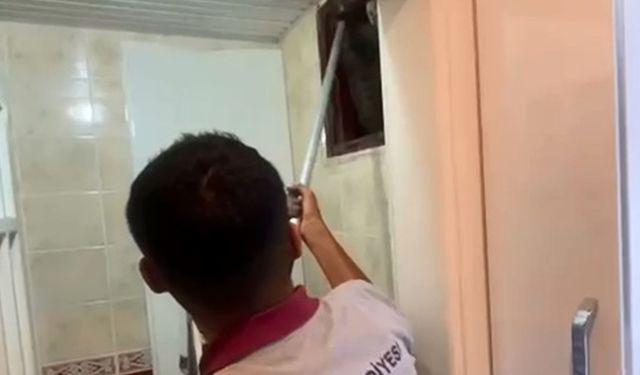 Alanya'da havalandırma bacasına düşen kedi kurtarıldı