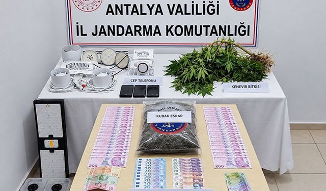 Manavgat'ta evde uyuşturucu yetiştiren şüpheliye gözaltı