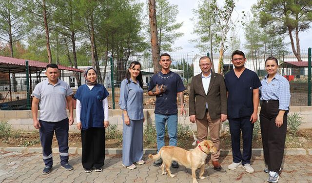 Aksu yangınından etkilenen hayvanlar yuvalarına kavuştu