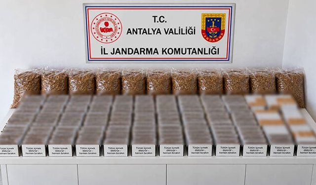 İki ilçede kaçak tütün operasyonu