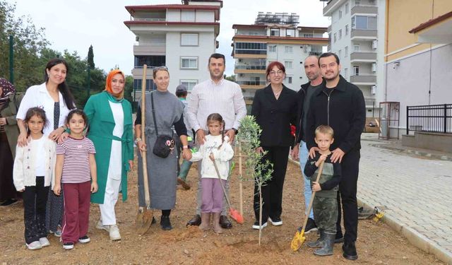 Alanya'da minik eller zeytin fidanlarını toprakla buluşturdu