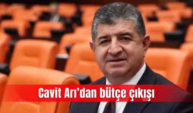 Cavit Arı’dan bütçe çıkışı