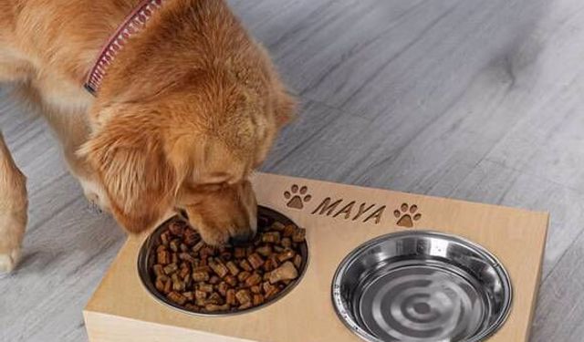 KÖPEK MAMA VE SU KABI SATIN ALINACAKTIR