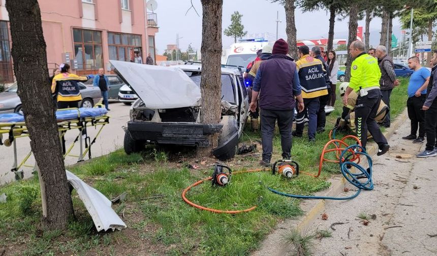 Kontrolden çıkıp ağaca çarptı