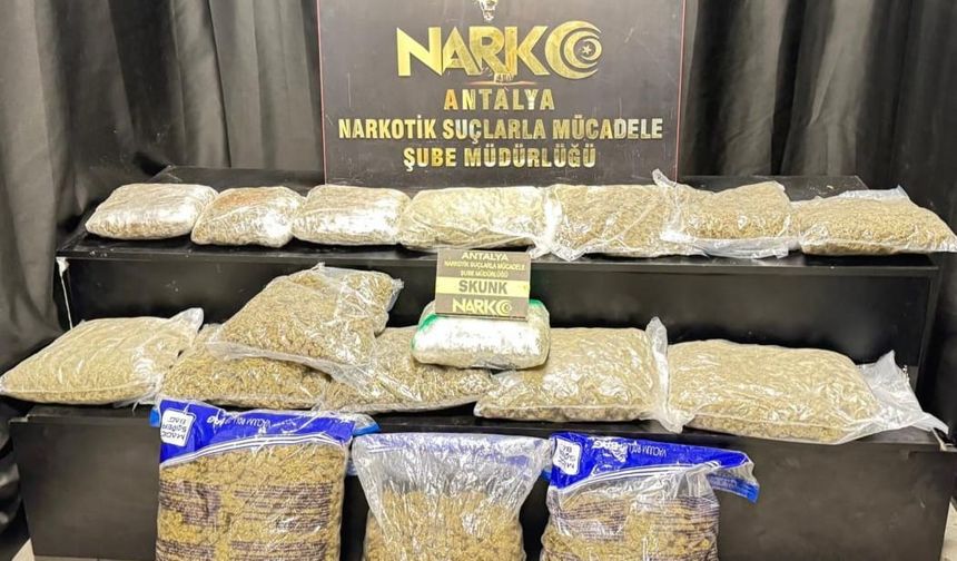 Skunk operasyonu: Antalya'da zehir tacirlerine büyük darbe