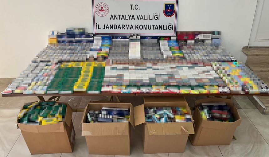 Jandarma kaçak tütüne geçit vermedi: Manavgat'ta operasyon