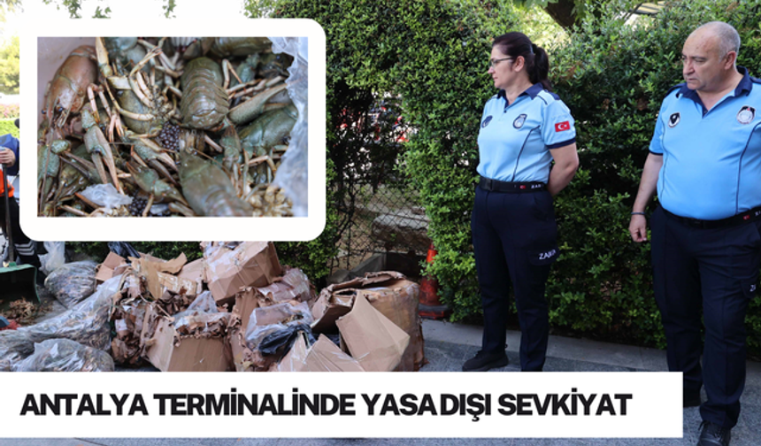 Antalya terminalinde yasa dışı sevkiyat