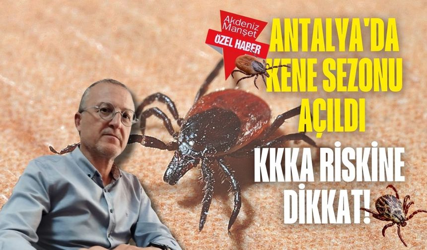 Antalya'da kene sezonu açıldı: KKKA riskine dikkat!