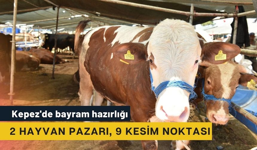 Kepez'de bayram hazırlığı: 2 hayvan pazarı, 9 kesim noktası