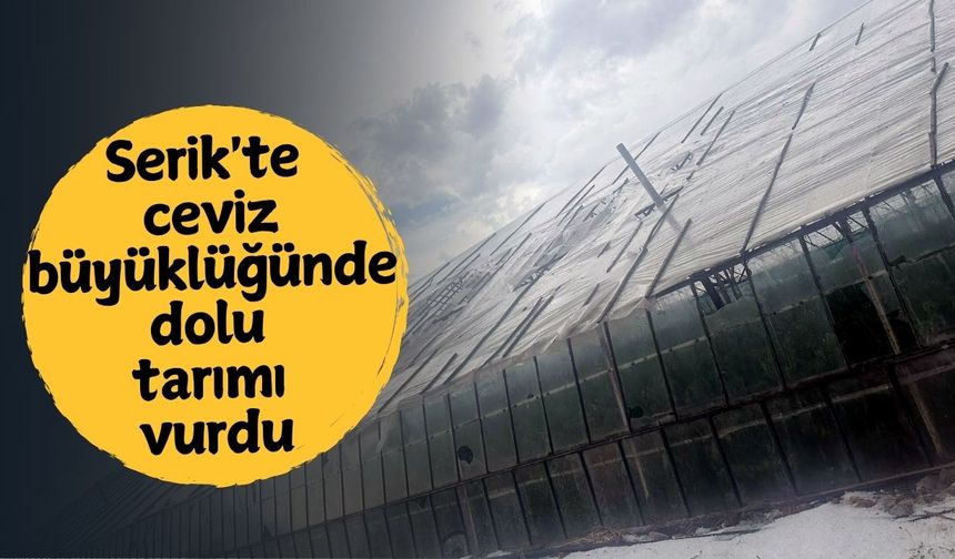 Serik'te ceviz büyüklüğünde dolu tarımı vurdu