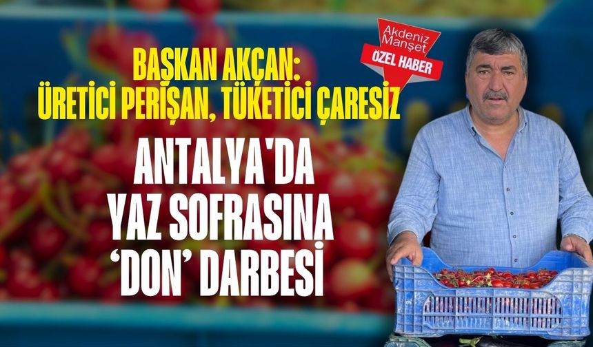 Başkan Akçan: Üretici perişan, tüketici çaresiz… Antalya'da yaz sofrasına ‘don’ darbesi