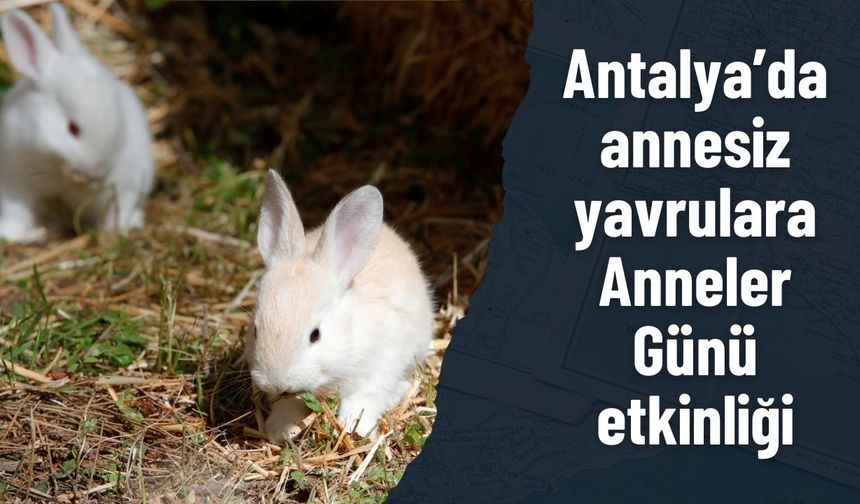 Antalya’da annesiz yavrulara Anneler Günü etkinliği