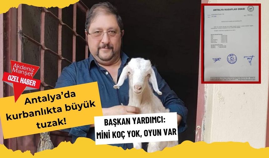 Antalya'da kurbanlıkta büyük tuzak! Başkan Yardımcı: Mini koç yok, oyun var