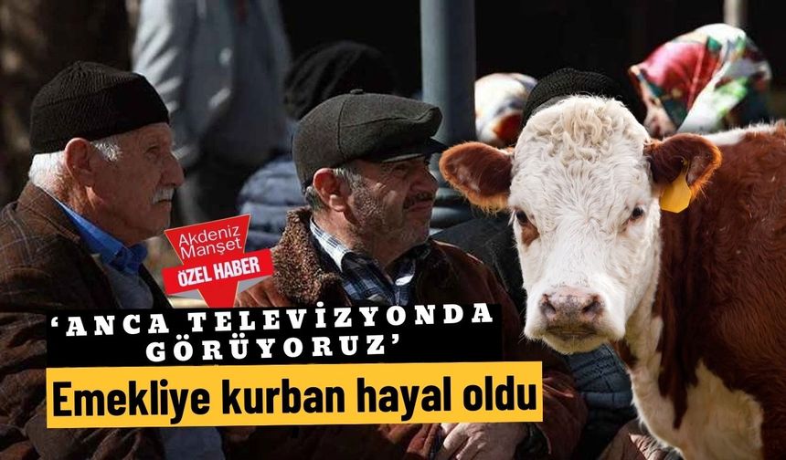 ‘Anca televizyonda görüyoruz’: Emekliye kurban hayal oldu