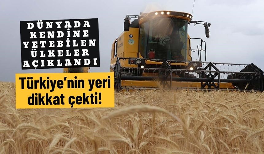 Dünyada kendine yetebilen ülkeler açıklandı: Türkiye’nin yeri dikkat çekti!