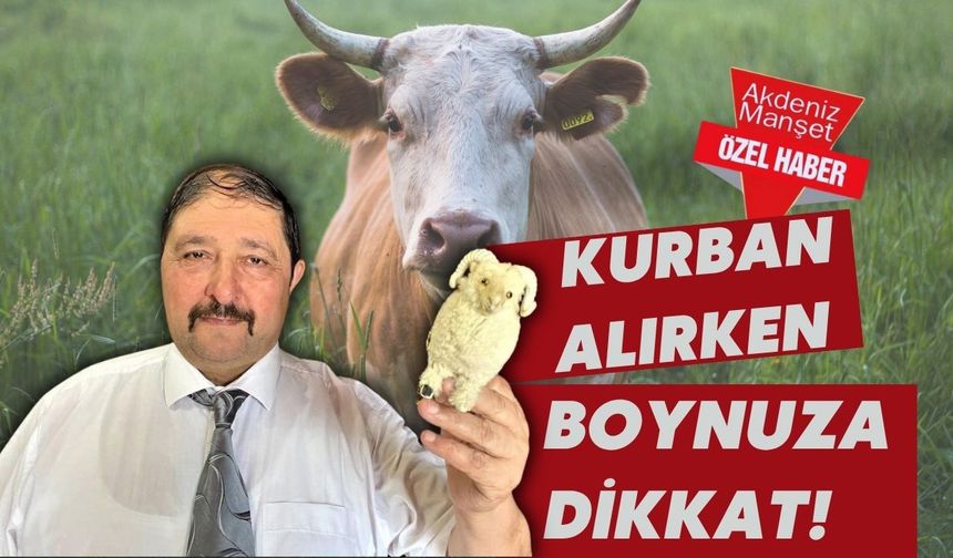 Kurban alırken boynuza dikkat!