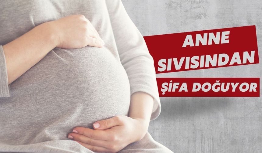 Anne sıvısından şifa doğuyor