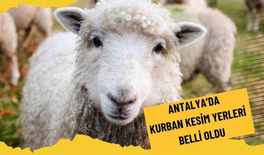 Antalya’da kurban kesim yerleri belli oldu