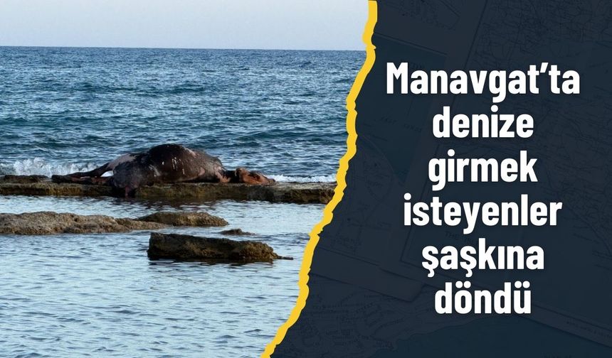 Manavgat’ta denize girmek isteyenler şaşkına döndü