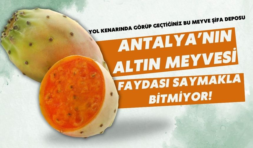 Antalya'nın altın meyvesi: Faydası saymakla bitmiyor