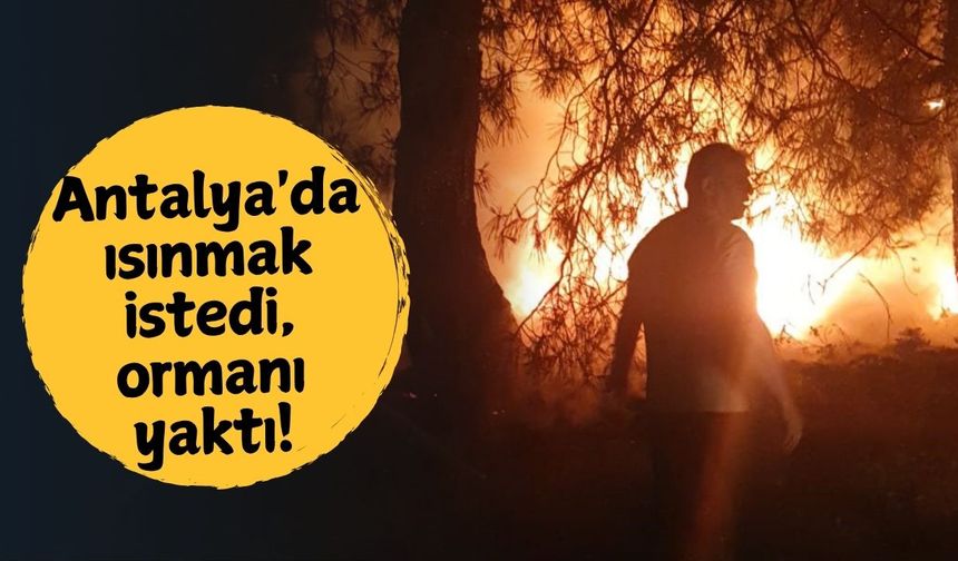 Antalya'da ısınmak istedi, ormanı yaktı!