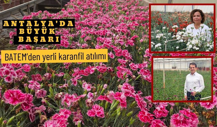Antalya'da büyük başarı: BATEM’den yerli karanfil atılımı