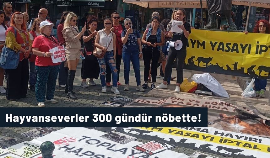 Hayvanseverler 300 gündür nöbette!