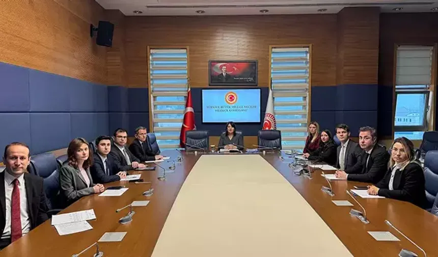 TBMM Dilekçe Komisyonu'na ilginç başvurular