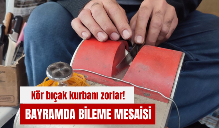 Kör bıçak kurbanı zorlar! Bayramda bileme mesaisi