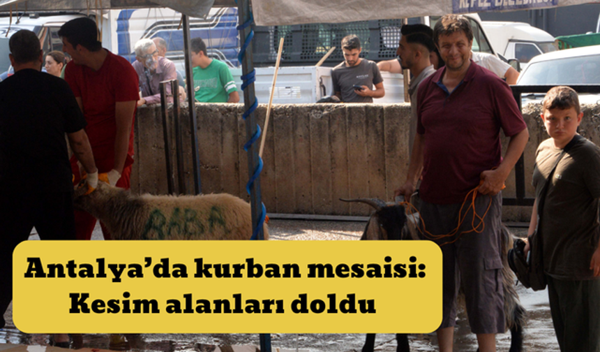 Antalya’da kurban mesaisi: Kesim alanları doldu