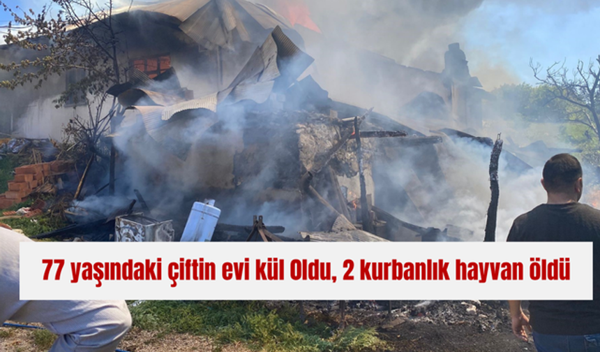 77 yaşındaki çiftin evi kül 0ldu, 2 kurbanlık hayvan öldü