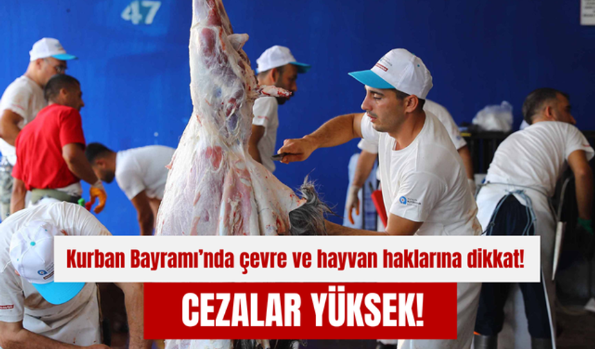 Kurban Bayramı’nda çevre ve hayvan haklarına dikkat! Cezalar yüksek