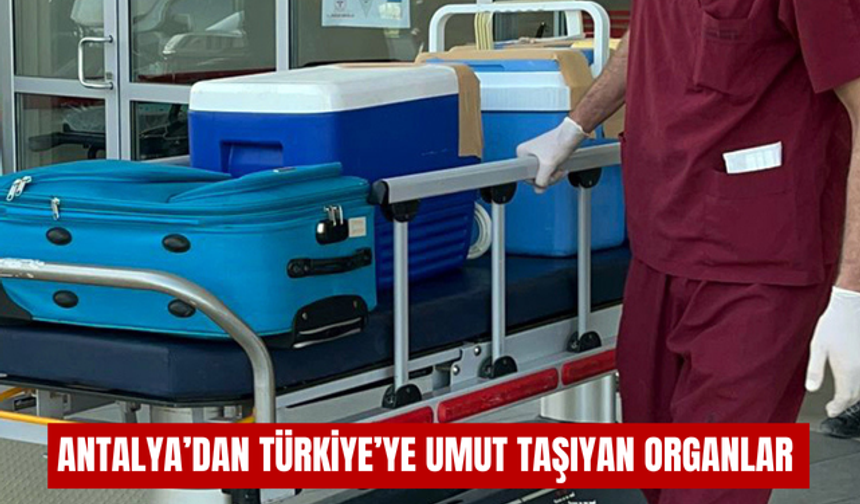 Antalya’dan Türkiye’ye umut taşıyan organlar