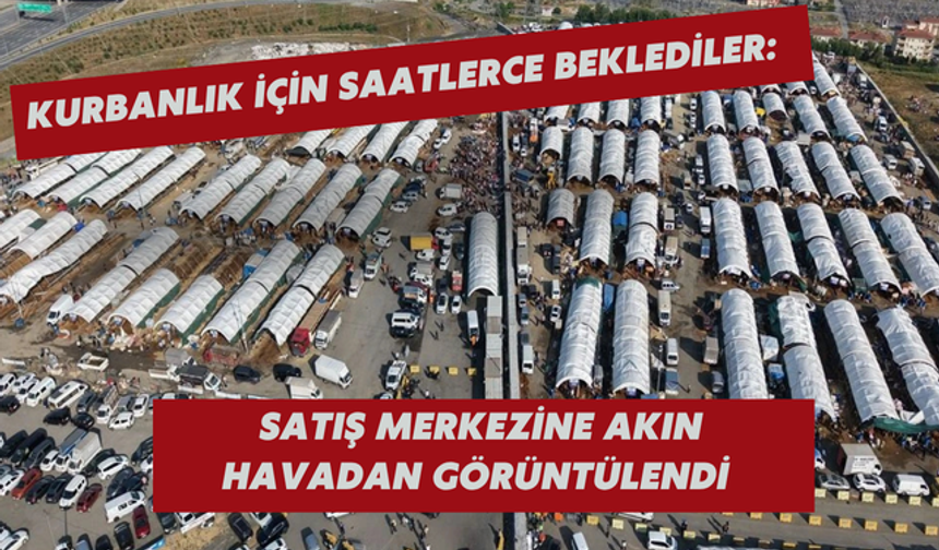 Kurbanlık için saatlerce beklediler: Satış merkezine akın havadan görüntülendi