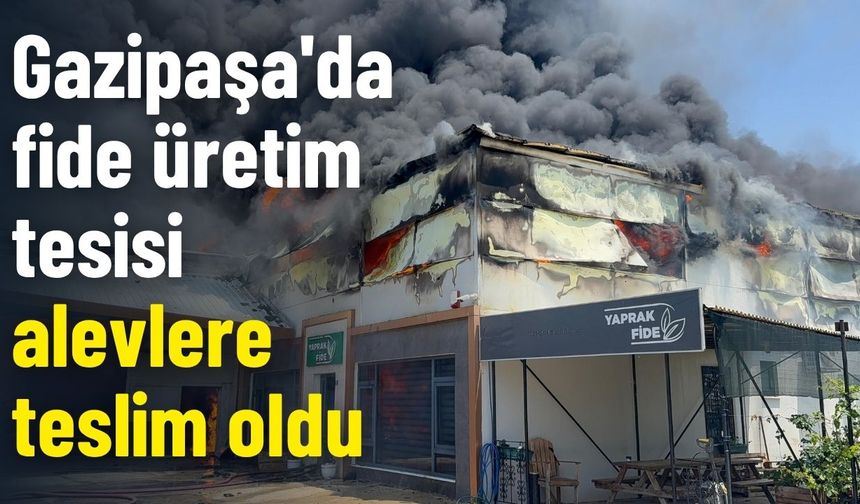 Gazipaşa'da fide üretim tesisi alevlere teslim oldu
