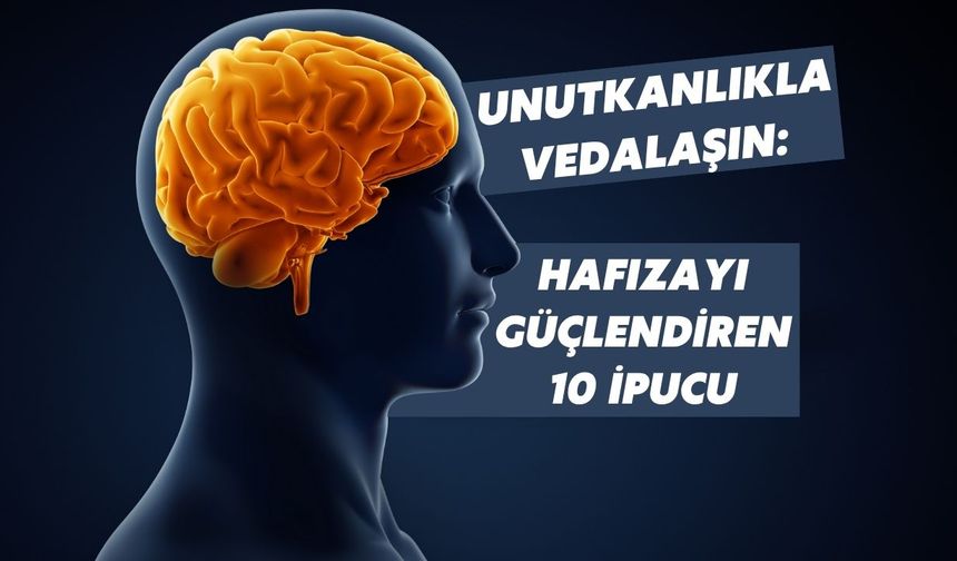 Unutkanlıkla vedalaşın: Hafızayı güçlendiren 10 ipucu