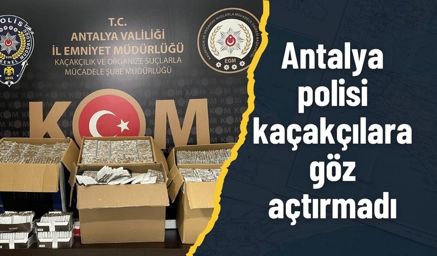 Antalya polisi kaçakçılara göz açtırmadı