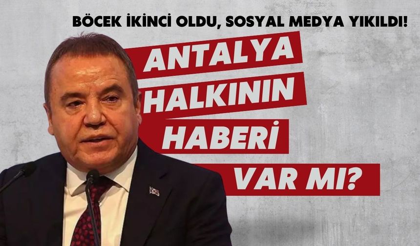 Böcek ikinci oldu, sosyal medya yıkıldı! Antalya halkının haberi var mı?