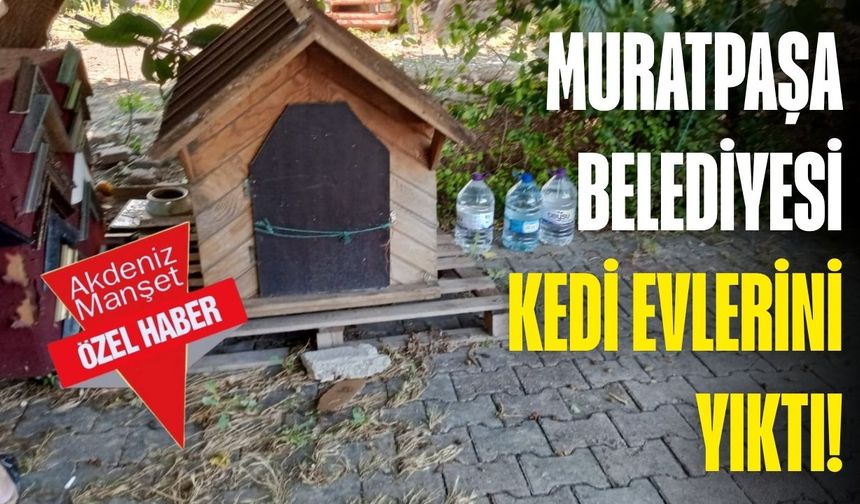 Muratpaşa Belediyesi kedi evlerini yıktı!