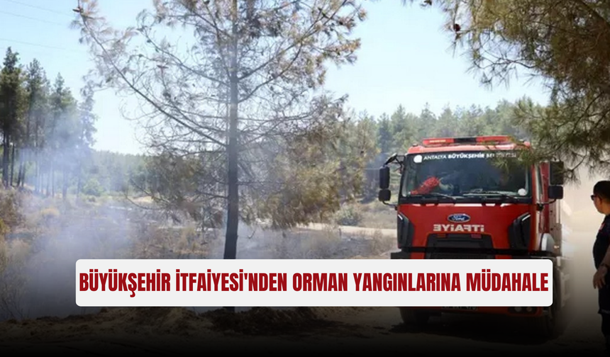 Büyükşehir İtfaiyesi'nden orman yangınlarına müdahale