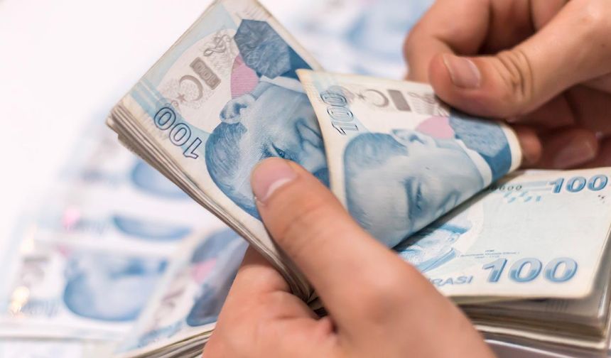 Emekli aylıklarına uygulanan artışlar, takvim yılı içerisinde iki farklı dönemde gerçekleştirilir. Bu güncellemeler, emeklilerin alım gücünü koruma hedefiyle enflasyon oranları gibi veriler dikkate alınarak yapılır. Türkiye İstatistik Kurumu (TÜİK), bu zamların hesaplanması için gerekli olan altı aylık enflasyon bilgisini düzenli olarak duyuran yetkili mercidir.